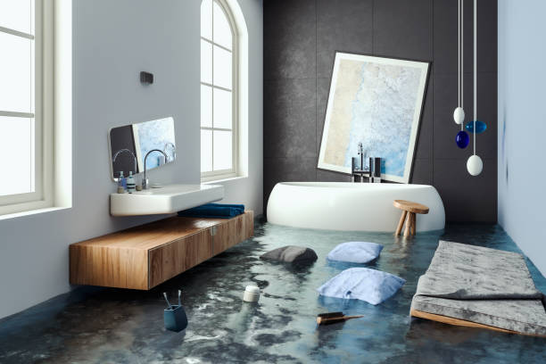 Best Mold removal after water damage  in Emerald Isle, NC