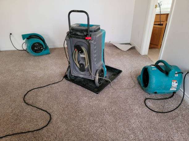 Best Sewage cleanup and water damage restoration  in Emerald Isle, NC
