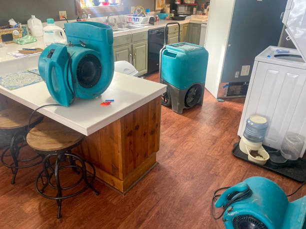 Best Water damage cleanup near me  in Emerald Isle, NC