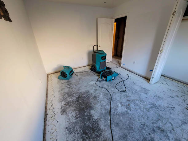 Best Basement water damage restoration  in Emerald Isle, NC