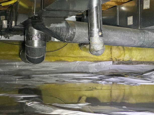 Best Local water damage restoration  in Emerald Isle, NC