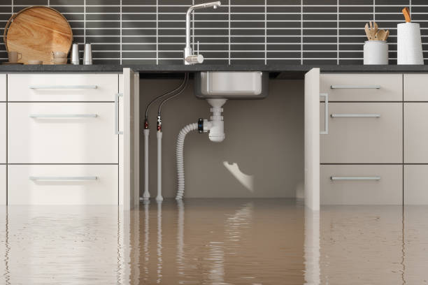 Best Water damage contractors near me  in Emerald Isle, NC