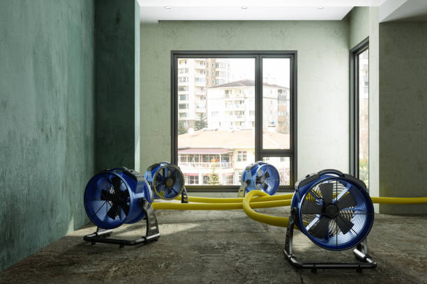 Best Sewage cleanup and water damage restoration  in Emerald Isle, NC