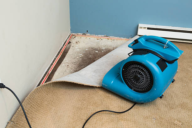 Water damage restoration mold remediation in NC