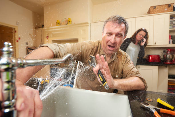 Best Professional water damage repair  in Emerald Isle, NC